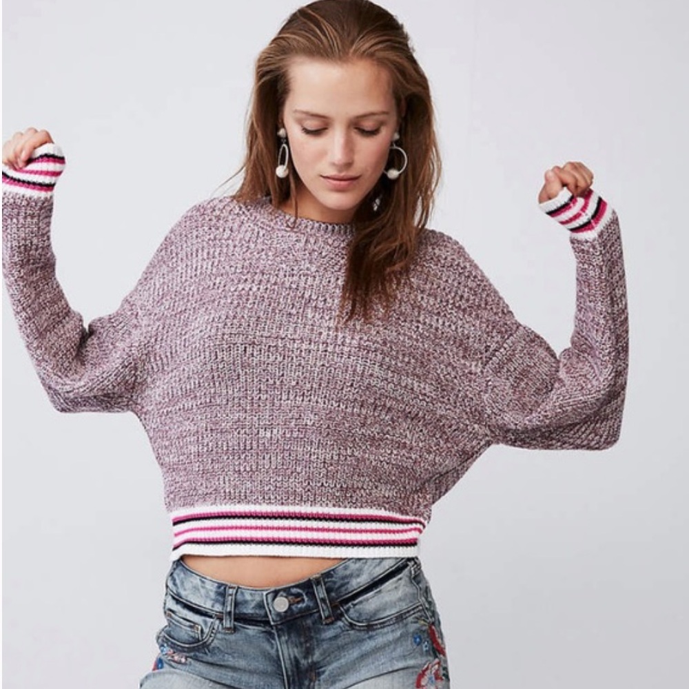 Express Marled Stripe Trim Pullover Sweater Purple